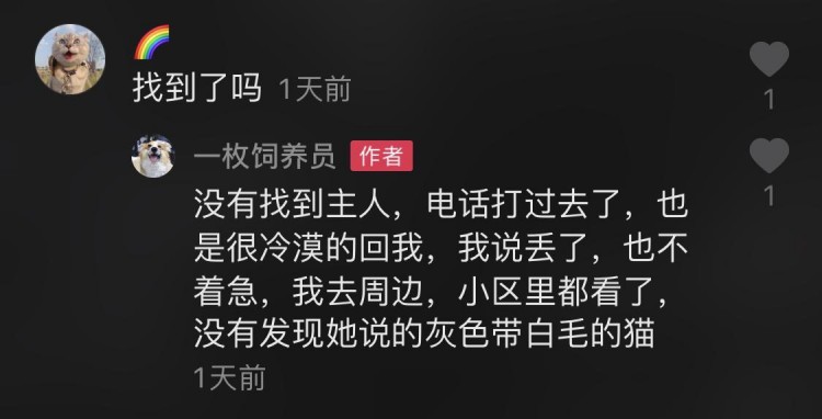 客户留纸条要寄养猫但猫包是空的猫隐身了