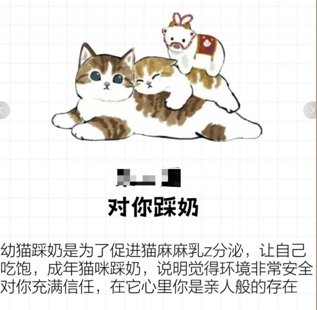 猫咪爱你程度分6级大部分都止步于5级你的猫在几级